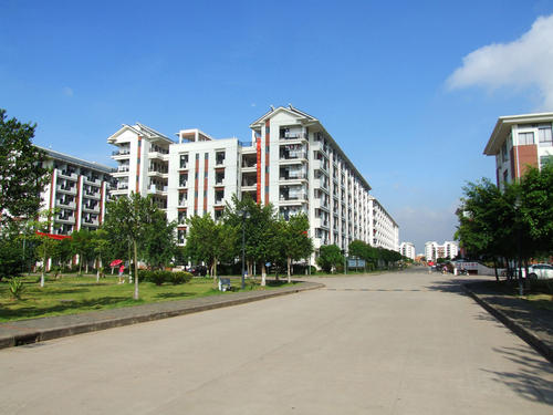 常德德才科技職業(yè)學(xué)校網(wǎng)站網(wǎng)址