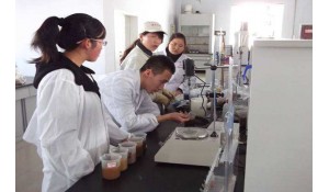 化學(xué)工程與工藝專業(yè)