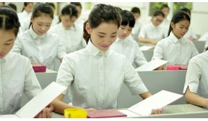 會計專業(yè)