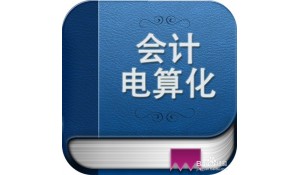 會計電算化