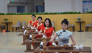 酒店管理專業(yè)