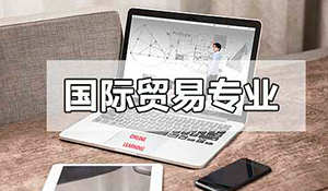 國貿(mào)經(jīng)濟與貿(mào)易專業(yè)