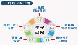 電子商務專業(yè)