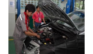汽車維修專業(yè)高級(jí)班