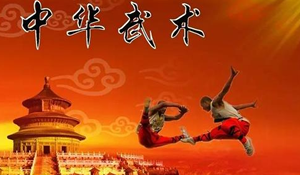 武術(shù)