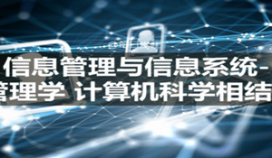 信息管理與信息系統(tǒng)專業(yè)