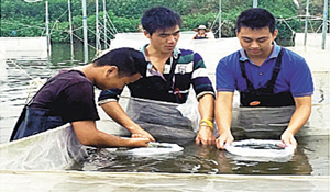 水產(chǎn)養(yǎng)殖技術專業(yè)