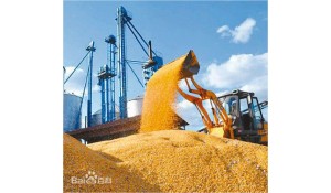 農(nóng)業(yè)機械使用與維護(hù)