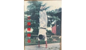 鐵砂掌硬氣功專修班