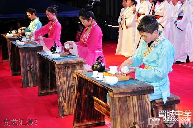 四川省崇州市蜀城中學(xué)文藝匯演3