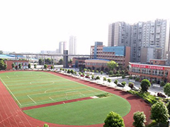 成都市有哪些大專學校