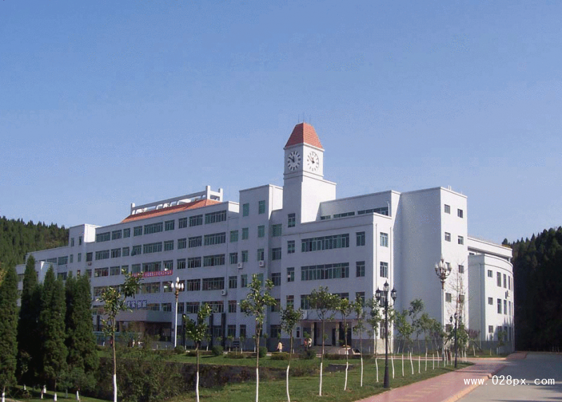 四川綿陽學院