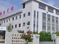 四川綿陽藝術(shù)學(xué)校