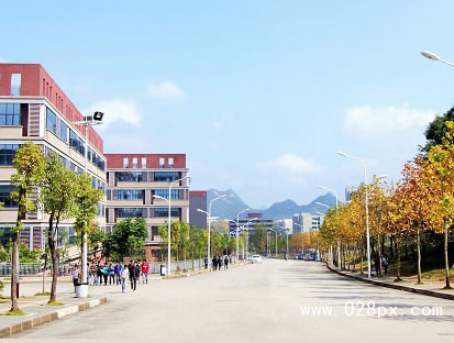 貴州大學分數(shù)線