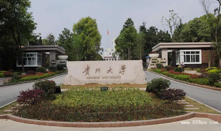 貴州大學(xué)排名