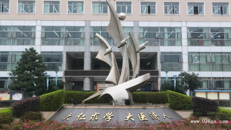 四川衛(wèi)生康復(fù)職業(yè)學(xué)院官網(wǎng)