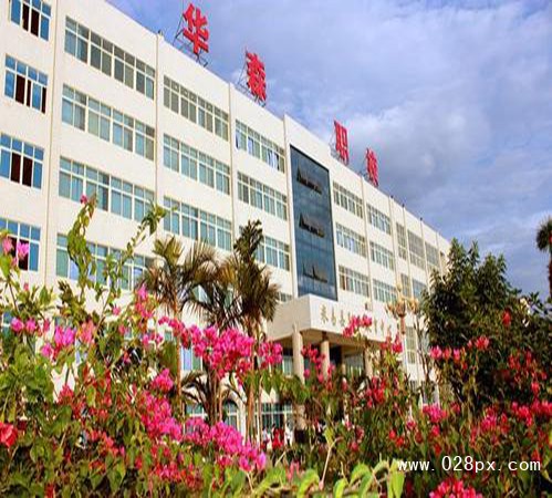 攀枝花市華森職業(yè)學校在哪里