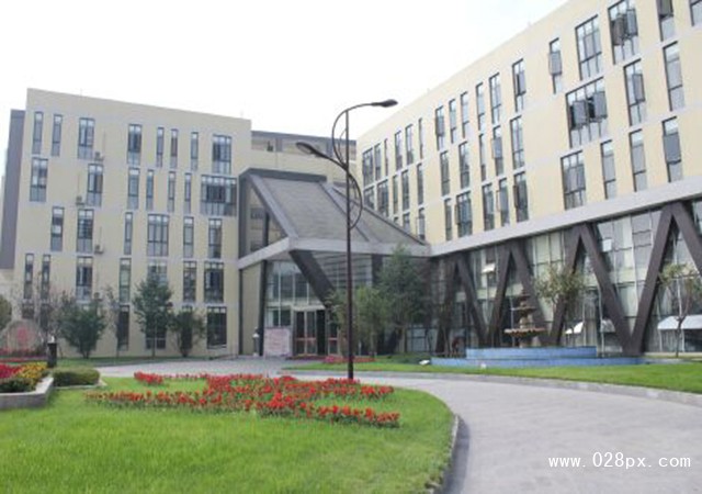 成都市文化藝術(shù)學校地址