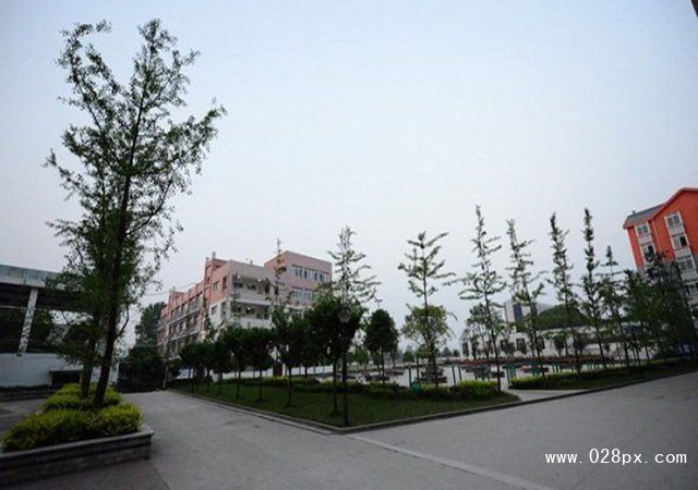 四川省瀘州市江南職業(yè)中學校收費標準