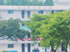 成都市洞子口職業(yè)高級(jí)中學(xué)校收費(fèi)標(biāo)準(zhǔn)
