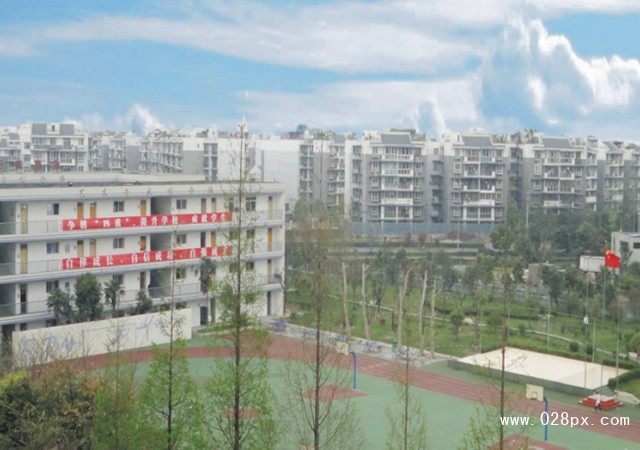 成都市洞子口職業(yè)高級中學校在哪里