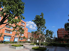 四川現(xiàn)代藝術(shù)學(xué)校費(fèi)用