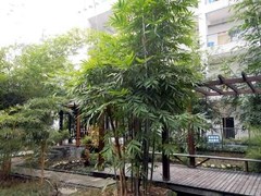 ?什邡職高學(xué)校