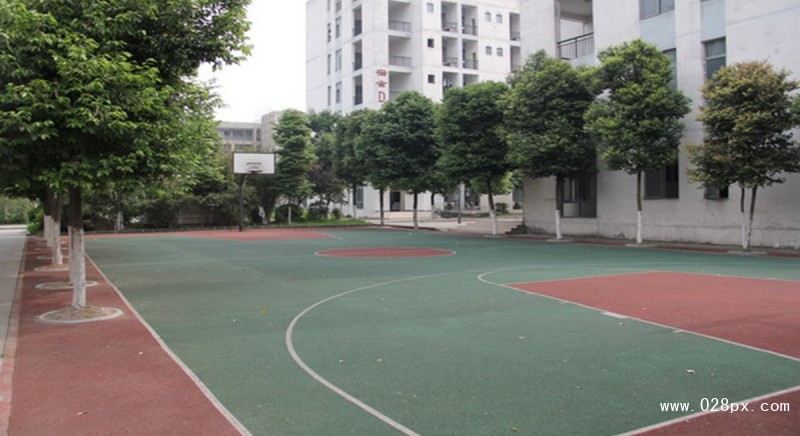 四川省大邑縣職業(yè)高級中學 四川省大邑縣職業(yè)高級中學
