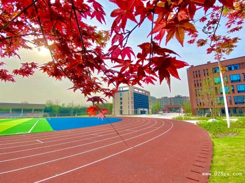 自貢市東方職業(yè)技術(shù)學(xué)校 自貢市東方職業(yè)技術(shù)學(xué)校