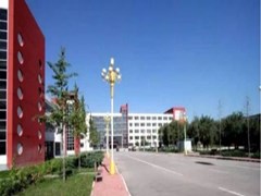 ?航空專修學(xué)校