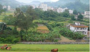 農(nóng)村行政與經(jīng)濟(jì)管理