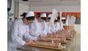 護理專業(yè)