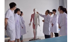 康復治療技術(shù)