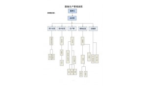 服裝設(shè)計(jì)與企業(yè)管理