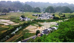 農(nóng)村經(jīng)濟綜合管理