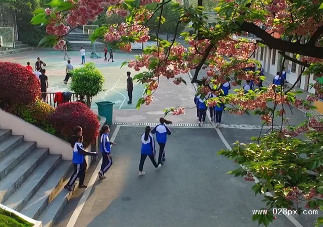 貴陽(yáng)市交通技工學(xué)校怎么樣
