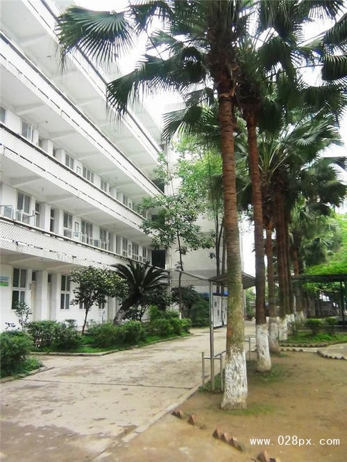 瀘州市鵬程中等職業(yè)學(xué)校有哪些專業(yè) 瀘州市鵬程中等職業(yè)學(xué)校有哪些專業(yè)