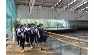 旅游服務(wù)與管理
