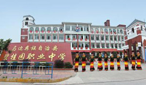 彝族自治縣碧桂園職業(yè)中學(xué)