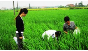 植物保護(hù)