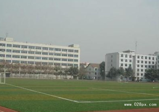 四川郵電職業(yè)技術(shù)學(xué)院招生計(jì)劃