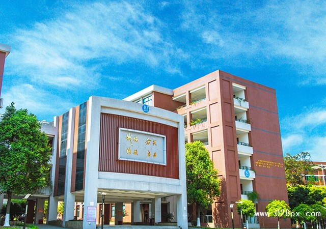 四川托普信息技術(shù)職業(yè)學(xué)院招生計(jì)劃