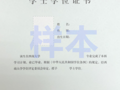 西南大學(xué)繼續(xù)教育學(xué)院學(xué)位證書樣本