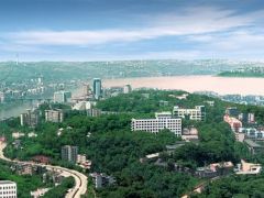 歡迎報考！西南醫(yī)科大學(xué)2024年博士研究生招生章程發(fā)布